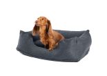 Aufblasbares Hundebett | Klein