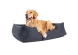 Aufblasbares Hundebett | Mittlere Größe