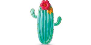 Intex Cactus Luftbett